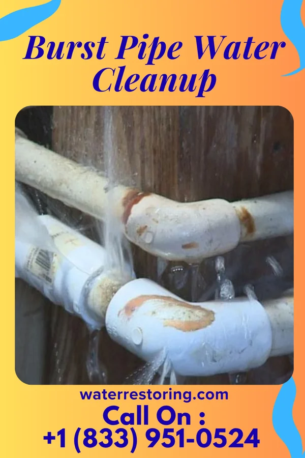 Burst Pipe Water Cleanup in Westernport, MD