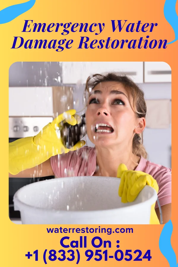 Emergency Water Damage Restoration in Westernport, MD