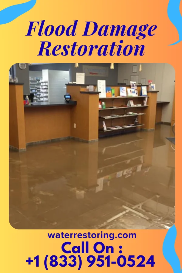 Flood Damage Restoration in Westernport, MD