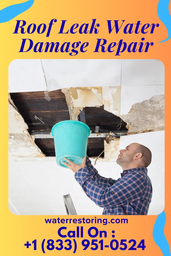 Roof Leak Water Damage Repair in Westernport, MD