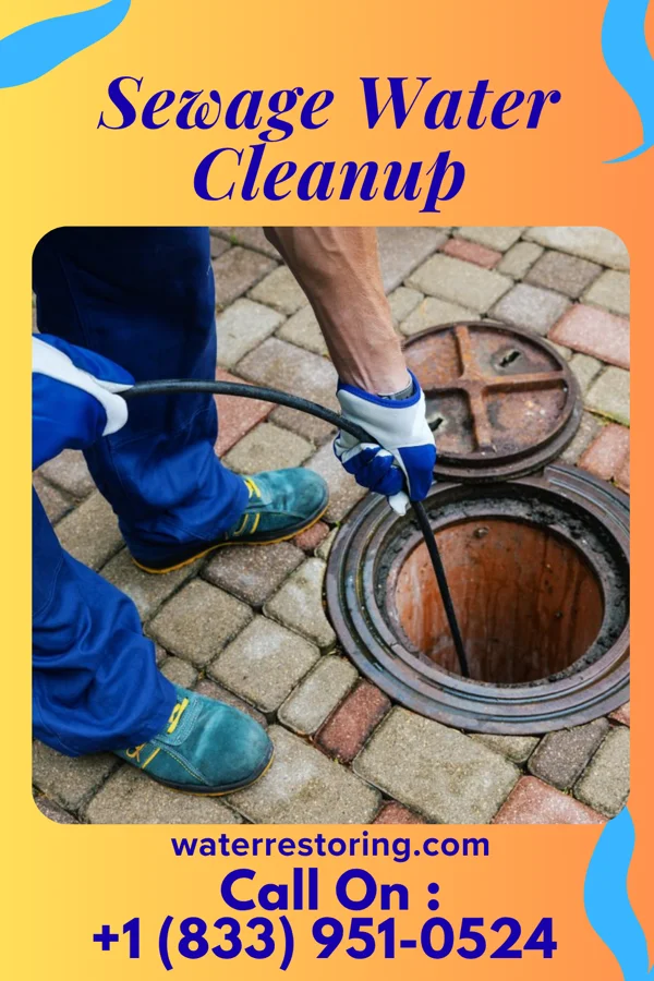 Sewage Water Cleanup in Westernport, MD