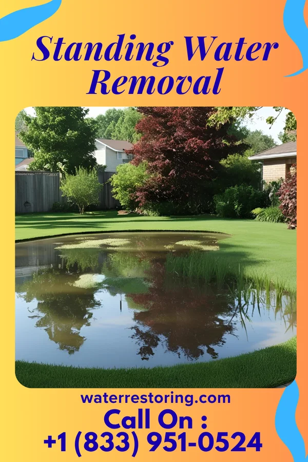 Standing Water Removal in Westernport, MD